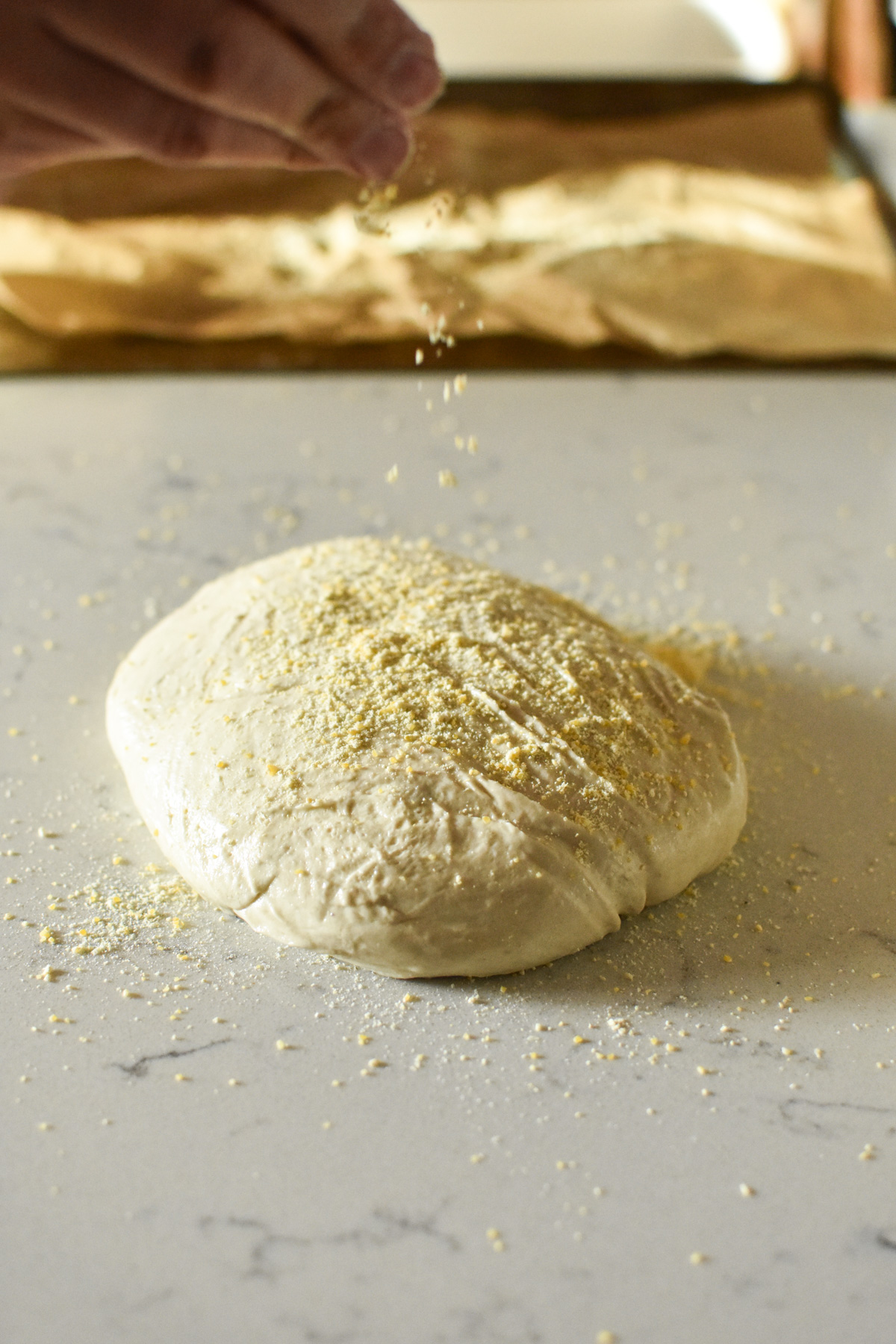 pizza dough with cornmeal