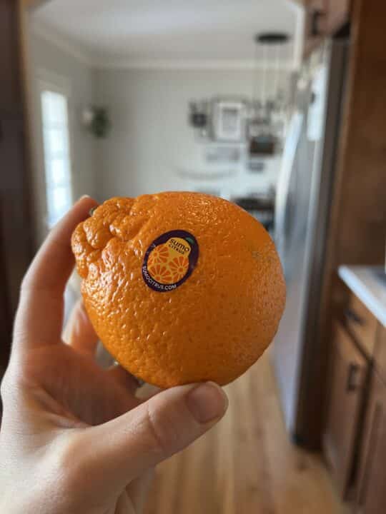 sumo citrus orange