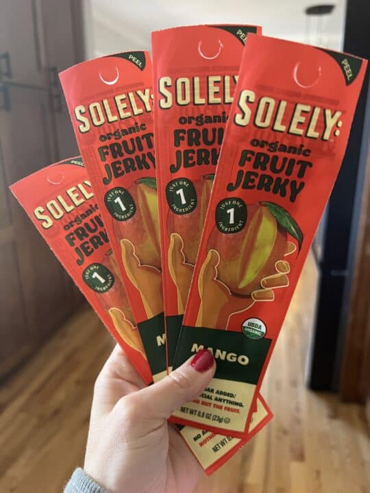 solely fruit jerky