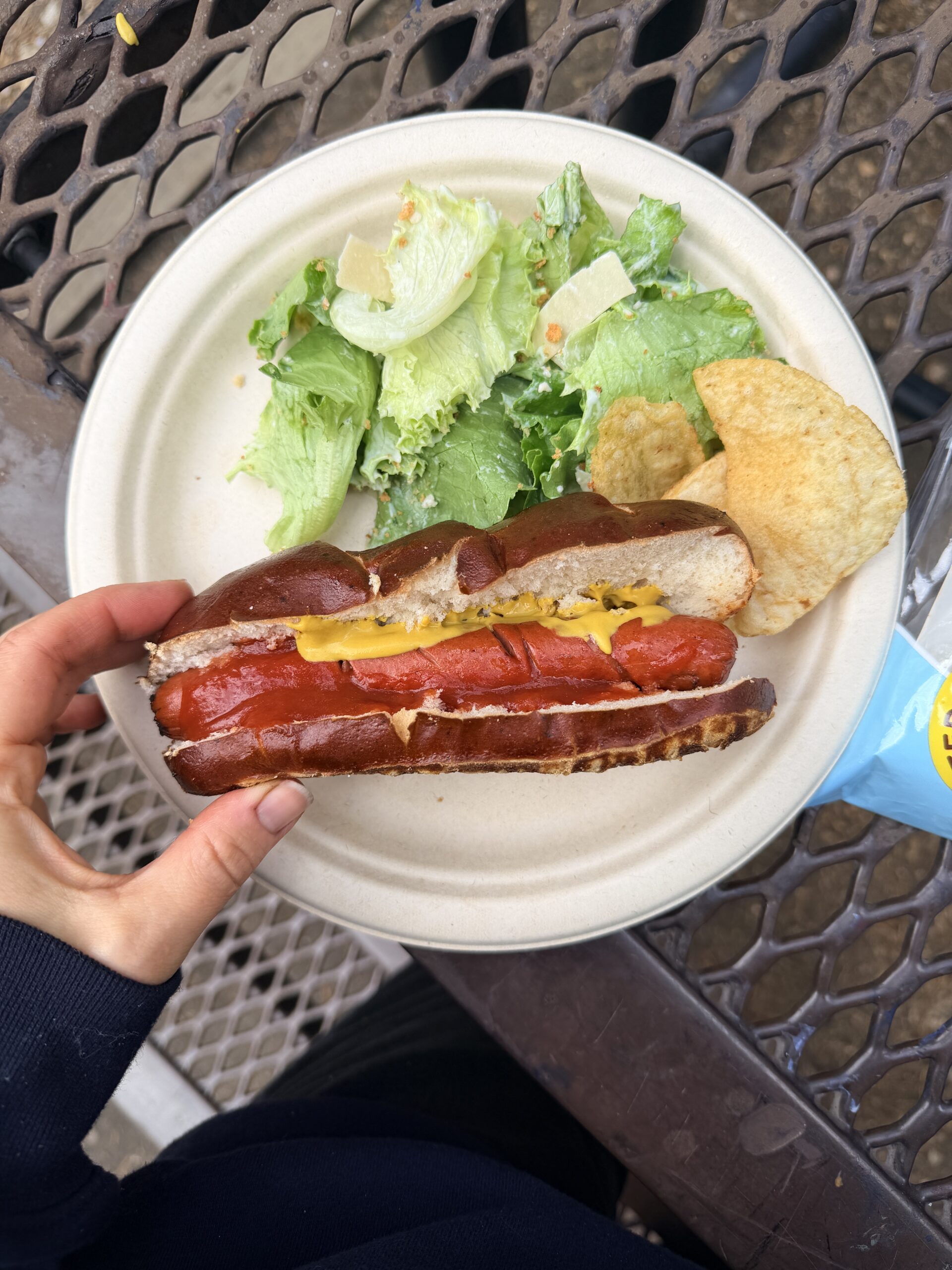 hot dog on a pretzel bun with salad and chips pictured on a camping table