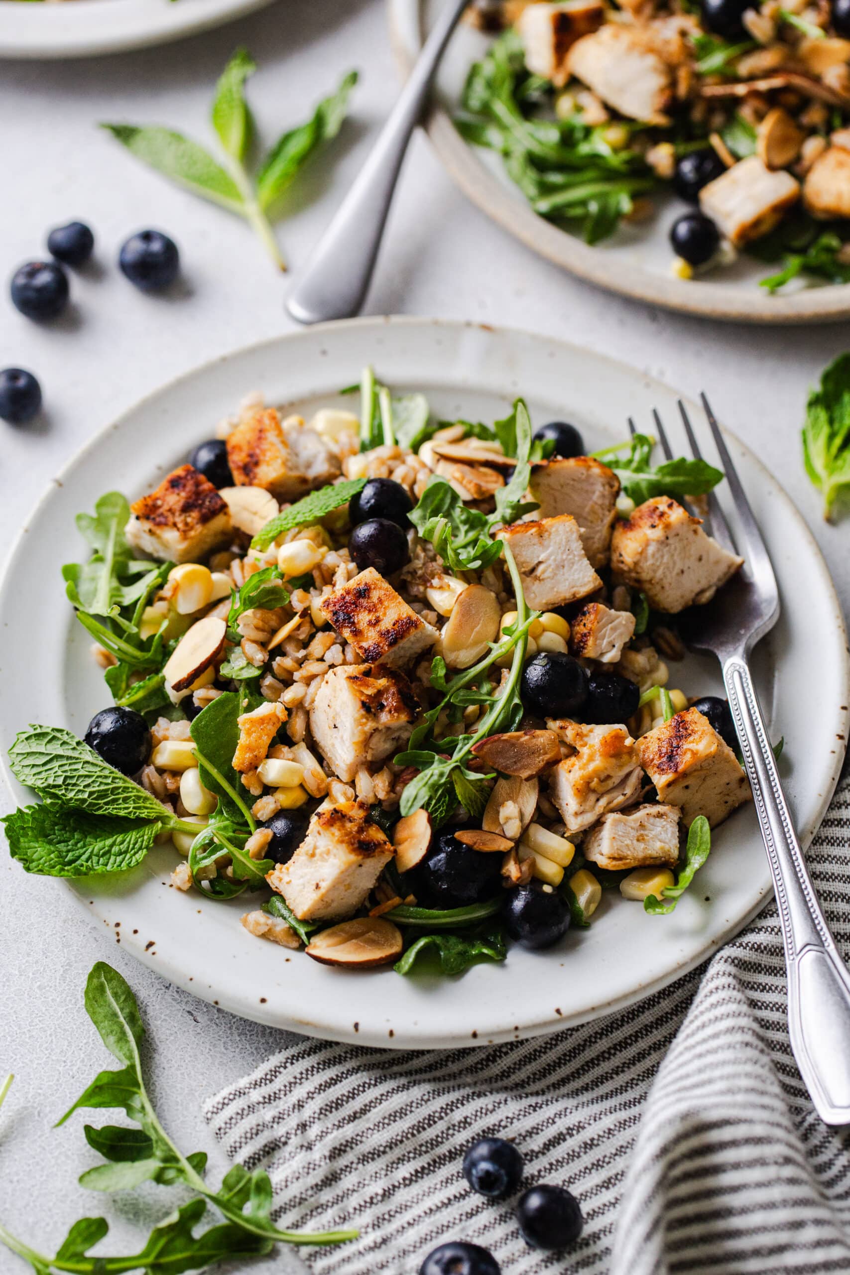 closeup of a plate of the salad with grilled chicken and a fork